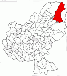 Location in Mureș County