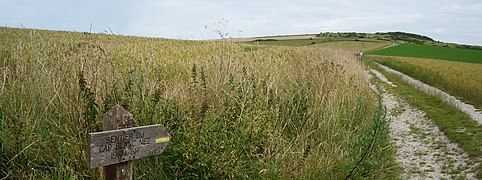 Le sentier du Blanc Nez .- Eté2016 (2).jpg