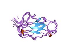 Mite group 2 allergen Der p 2