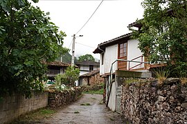 Tuña tineo asturias02.JPG