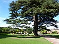 Tredegar House Country Park