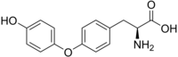 Image illustrative de l’article Thyronine