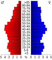 Bevolkingspiramide Somerset County