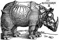 Albrecht Dürer, Nosorog