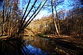 Blick von der Wünschelbrücke auf den Zainhammer Teich