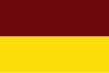 Bendera Department of Tolima