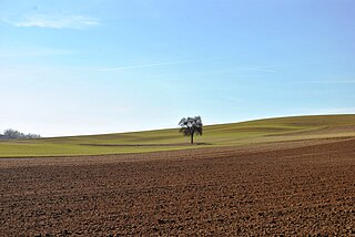 Gäufläche im nördlichen Maindreieck, bei Schnepfenbach