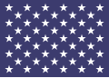 Naval Jack of the United States.