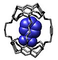 Hemicarcerand complex