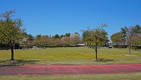 雄物川中央公園