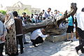 L'arbre sacré du site du mausolée de Bahaouddin Naqshbandi