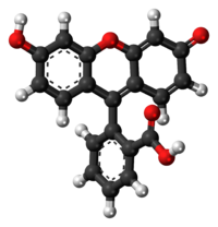 Modelo da fluoresceína