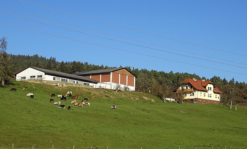 File:Gehöft Kreuzbichl 1 Gemeinde Magdalensberg.jpg