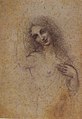 Angelo Incarnato, drawing of Salaì by Leonardo, from a folio of Leonardo's, c. 1515[11]