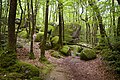 Rochers et forêt près des Gorges du Corong.