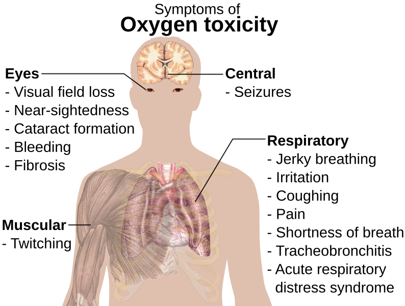 File:Symptoms of oxygen toxicity.svg