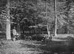 Utfordring av viltsvin 1909 i Kleinen Deister vid Springe