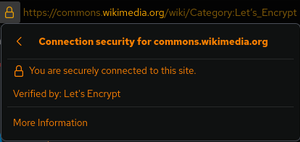 When accessing a site only with a common certificate, on the address bar of Firefox and other browsers, a "lock" sign appears.