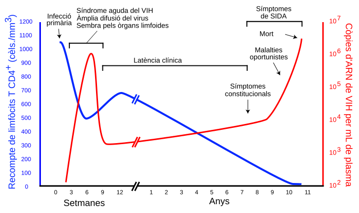 File:Hiv-timecourse ca.svg