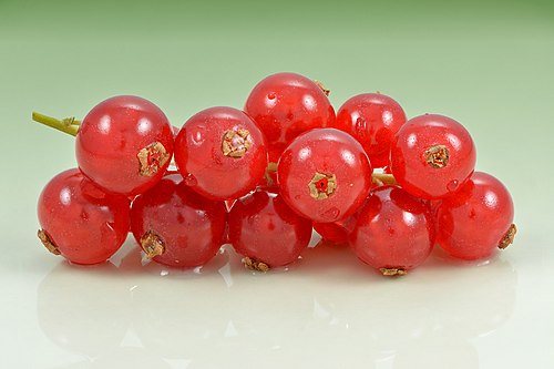 Redcurrant