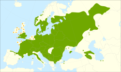 Distribución de Tilia cordata.