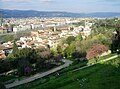 View from Giardino Bardini over Florence