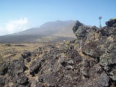 19. Monte Camerún es el pico más alto de Camerún.