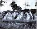 South bank of Caddo Lake, c. 1910