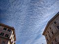 Cirrocumulus castellanus undulatus and Cirrocumulus floccus