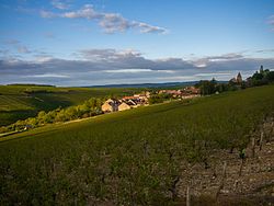 Skyline of Courgis