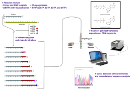 Sanger-sequencing.svg