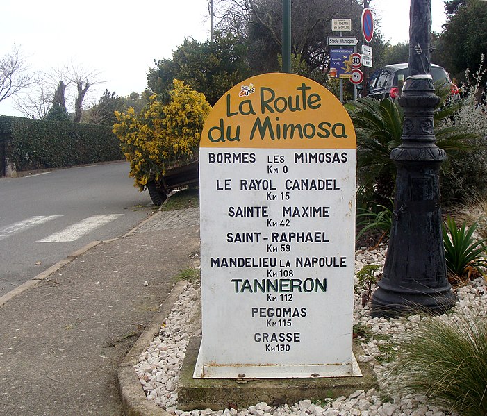 File:Tanneron, route du mimosa.jpg