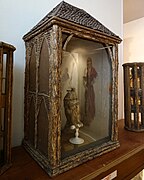 Vitrine des animaux de la forêt.