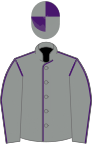 Grey, Purple seams, quartered cap