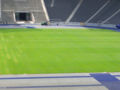 Football field with new grass