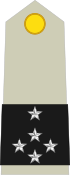 General de Ejército