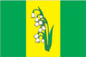 Flag of Kurkino District