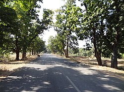 National Highway 143 at Jampani in Thethaitangar block in Simdega subdivision