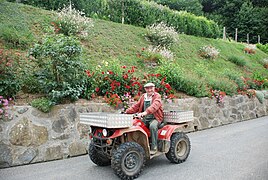 Le quad, un auxiliaire du déplacement sur prés pentus et du suivi des troupeaux. Joseph Sanguinet.