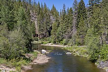 Middle Fork of the Feather River in Plumas County-5266.jpg