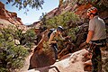 Wyoming Catholic College students rappelling during an outdoor week instruction