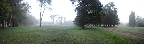 Morning fog at Parque Villarino.jpg