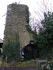 Cloghan Castle is a protected 16th century tower house located just south of Four Roads[1]