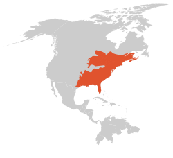 Distribución de la tritón del este