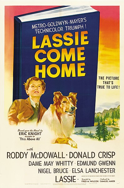 File:Lassie Come Home (1943 poster).jpg