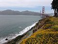 Presidio View of Golden Gate Bridge, 14 June 2014.