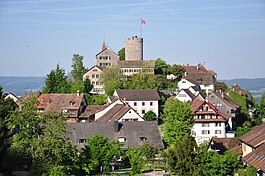 Regensberg pictured in 2010