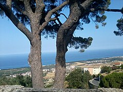 Sant'Andrea Apostulu di l'Ioniu