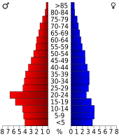 Bevolkingspiramide Hendry County