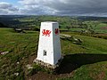 The Welsh Dragon on a trig point at Twyn y Gaer hill fort, Mynydd Illtud